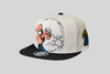 Hitter Snapback Hat